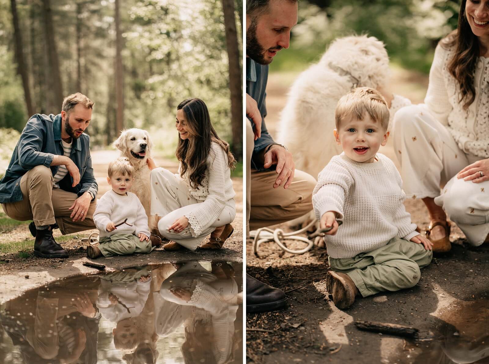 Delamere Forest family shoot